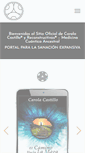 Mobile Screenshot of carolacastillo.com